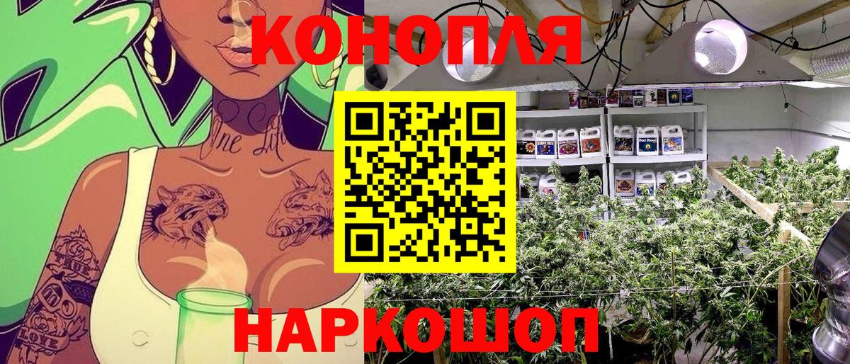 Бошки Шишки AK-47  Вход с VPN  Конопля THC 21%  Клинцы  Канабис VHQ  Бошки марихуана THC 21% 